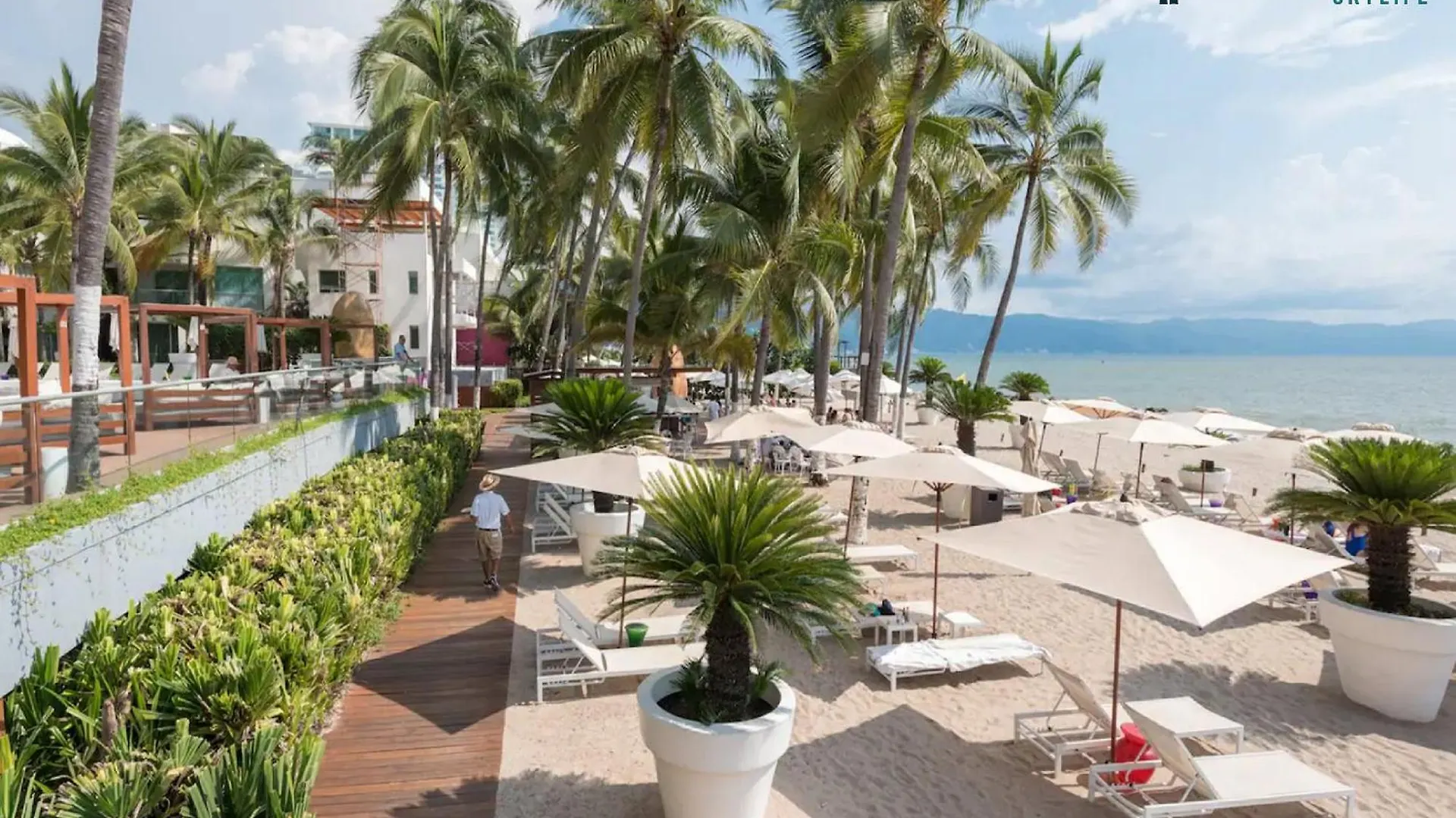 Icon Vallarta Beach Front By Bamboo Skylife Puerto Vallarta